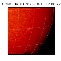 gong - 2025-10-15T12:00:22