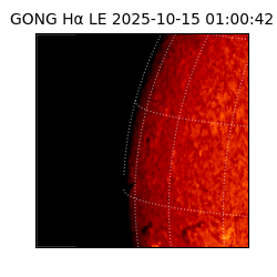 gong - 2025-10-15T01:00:42