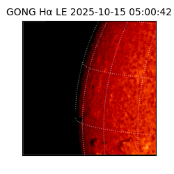 gong - 2025-10-15T05:00:42