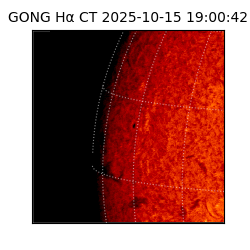 gong - 2025-10-15T19:00:42
