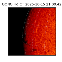 gong - 2025-10-15T21:00:42
