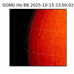 gong - 2025-10-15T23:00:02