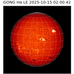 gong - 2025-10-15T02:00:42