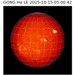 gong - 2025-10-15T05:00:42