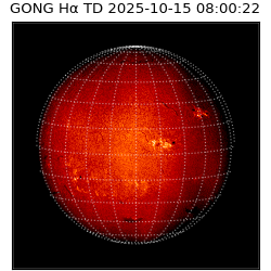 gong - 2025-10-15T08:00:22