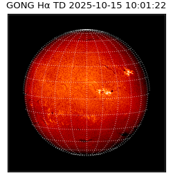 gong - 2025-10-15T10:01:22