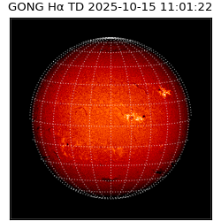 gong - 2025-10-15T11:01:22