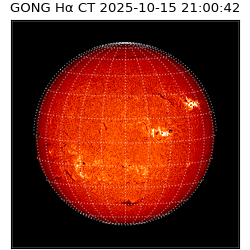 gong - 2025-10-15T21:00:42
