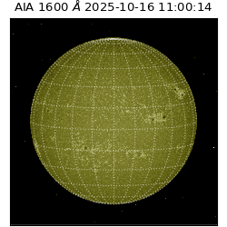 saia - 2025-10-16T11:00:14.126000