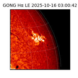 gong - 2025-10-16T03:00:42