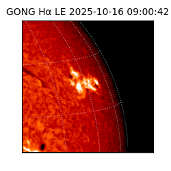 gong - 2025-10-16T09:00:42
