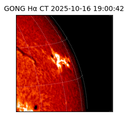 gong - 2025-10-16T19:00:42