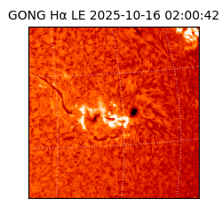 gong - 2025-10-16T02:00:42