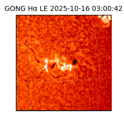 gong - 2025-10-16T03:00:42