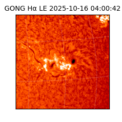 gong - 2025-10-16T04:00:42