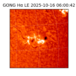 gong - 2025-10-16T06:00:42