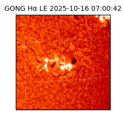 gong - 2025-10-16T07:00:42