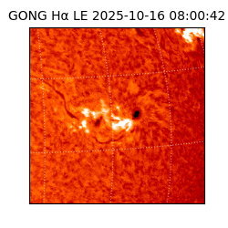 gong - 2025-10-16T08:00:42