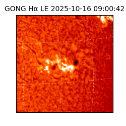 gong - 2025-10-16T09:00:42