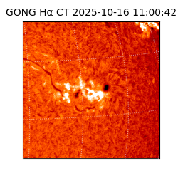 gong - 2025-10-16T11:00:42