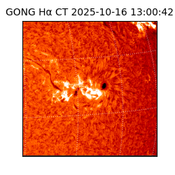 gong - 2025-10-16T13:00:42