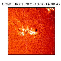 gong - 2025-10-16T14:00:42