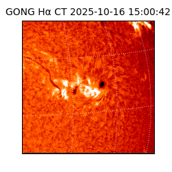 gong - 2025-10-16T15:00:42