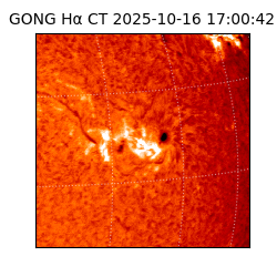 gong - 2025-10-16T17:00:42