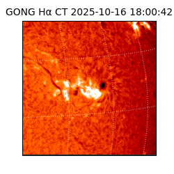 gong - 2025-10-16T18:00:42