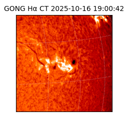gong - 2025-10-16T19:00:42