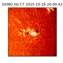 gong - 2025-10-16T20:00:42