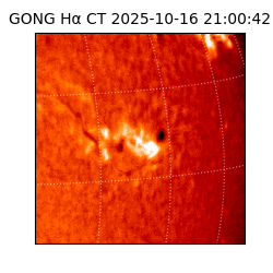 gong - 2025-10-16T21:00:42