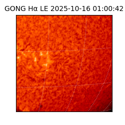 gong - 2025-10-16T01:00:42