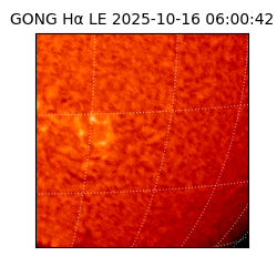 gong - 2025-10-16T06:00:42