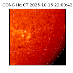 gong - 2025-10-16T22:00:42