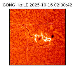 gong - 2025-10-16T02:00:42