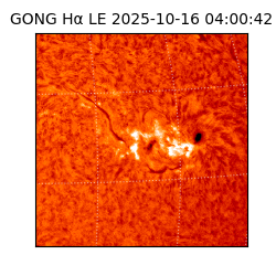 gong - 2025-10-16T04:00:42