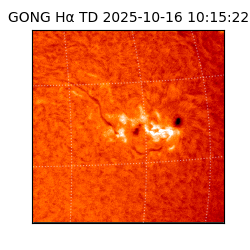 gong - 2025-10-16T10:15:22