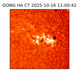 gong - 2025-10-16T11:00:42