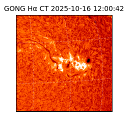 gong - 2025-10-16T12:00:42