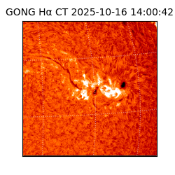 gong - 2025-10-16T14:00:42