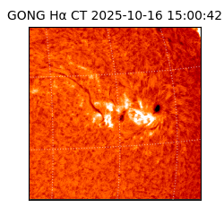 gong - 2025-10-16T15:00:42