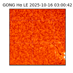 gong - 2025-10-16T03:00:42