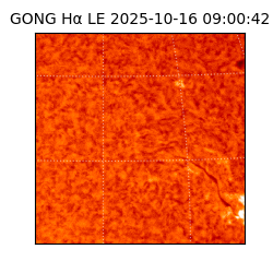 gong - 2025-10-16T09:00:42