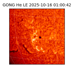 gong - 2025-10-16T01:00:42