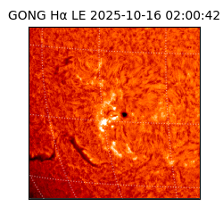 gong - 2025-10-16T02:00:42