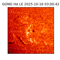 gong - 2025-10-16T03:00:42