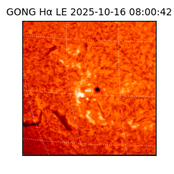 gong - 2025-10-16T08:00:42