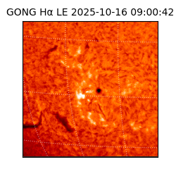 gong - 2025-10-16T09:00:42