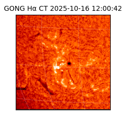gong - 2025-10-16T12:00:42